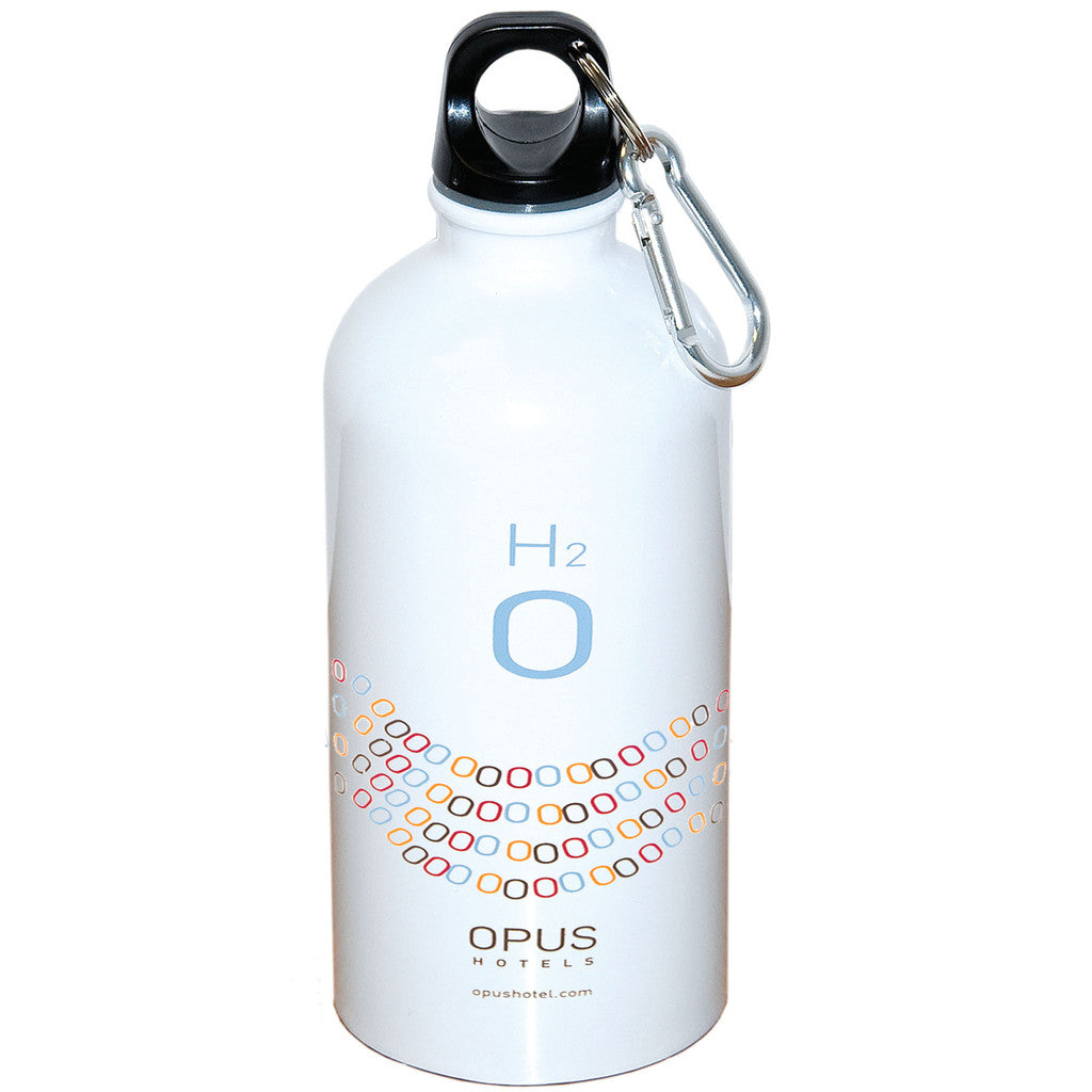 500 Ml (17 Fl. Oz.) Stainless Steel Bottle With Carabiner