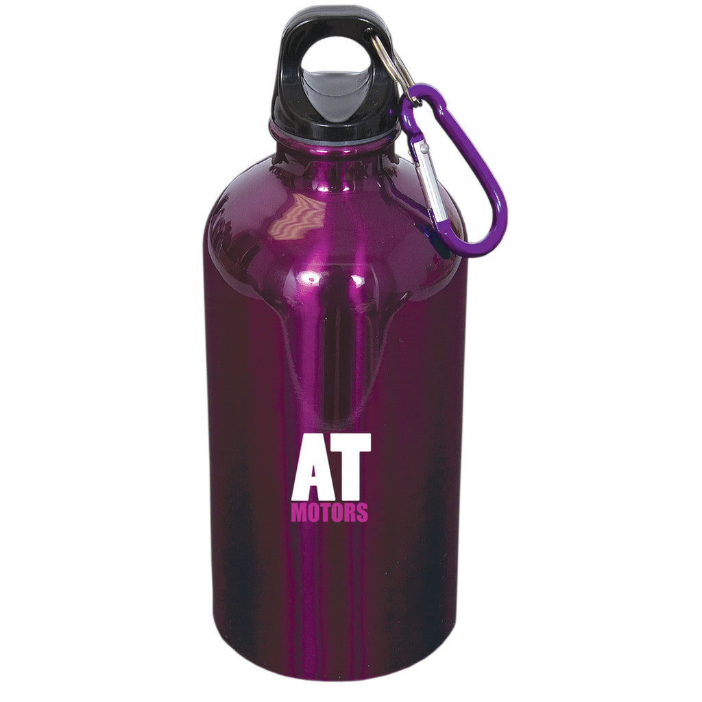 500 Ml (17 Fl. Oz.) Stainless Steel Bottle With Carabiner