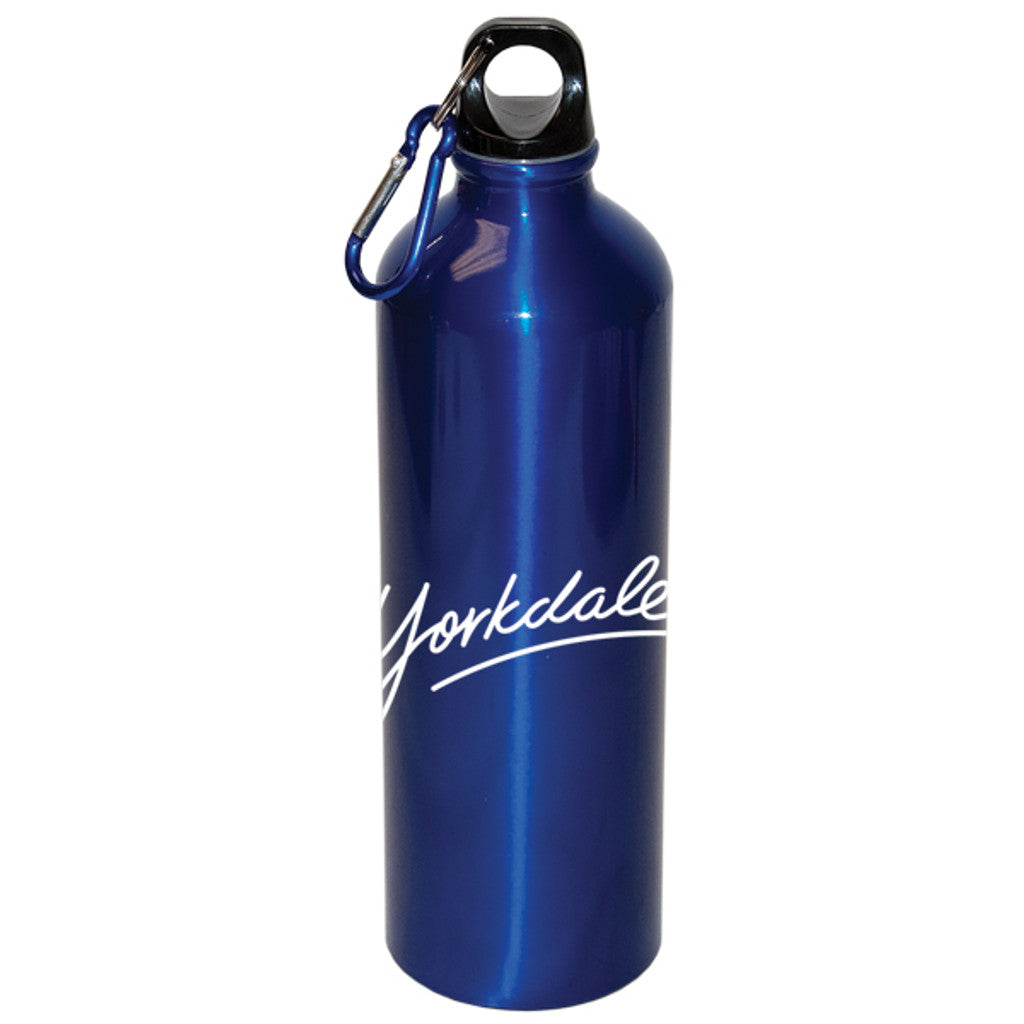 750 Ml (25 Fl. Oz.) Aluminum Water Bottle With Carabiner