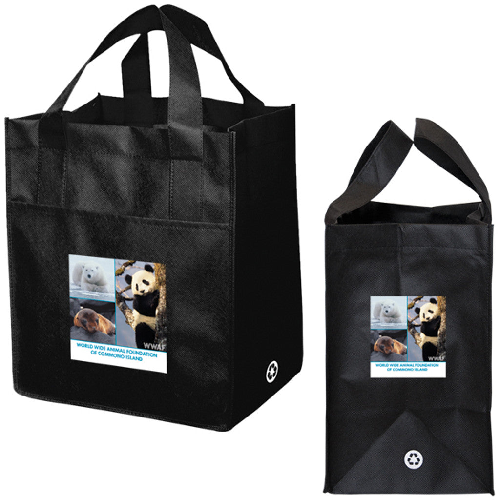 Non Woven Carry All Bag