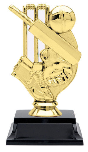 cricket-trophy-2