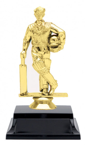 cricket-trophy-4