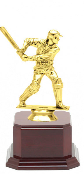 cricket-trophy-large