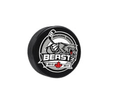 hockey-pucks 684427490