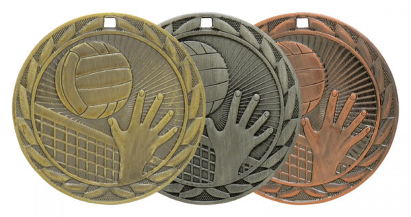 iron_volleyball_medal