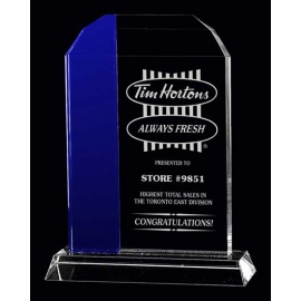 Optic Crystal Trenton Award